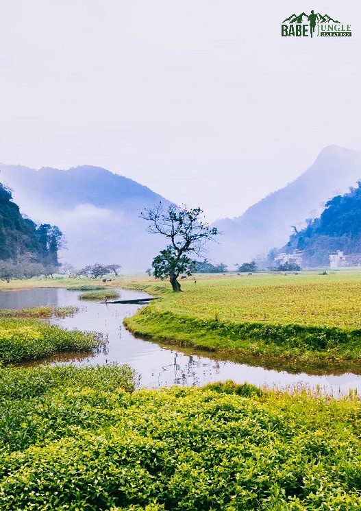 Cẩm nang du lịch Ba Be Jungle Marathon năm 2021